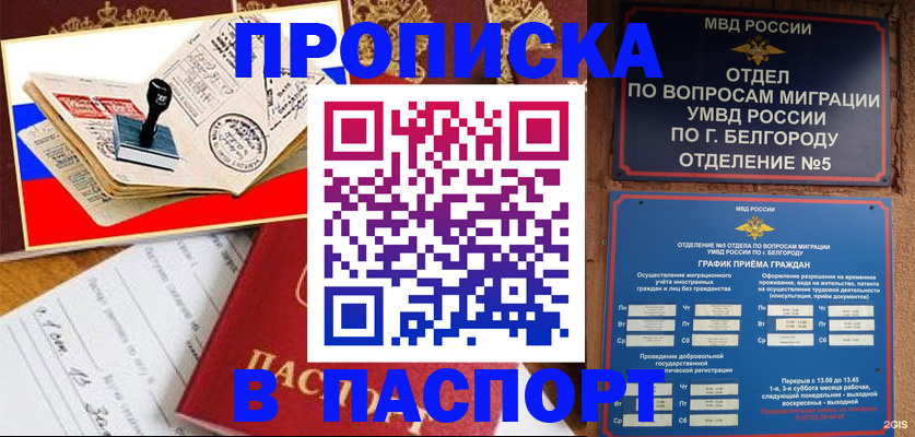 купить прописку в Шебекино