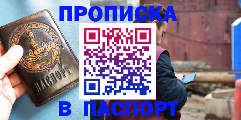 прописка в Шебекино